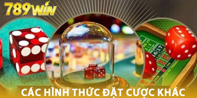 Hình Thức Đặt Cược Khác Trong Xí Ngầu 789win