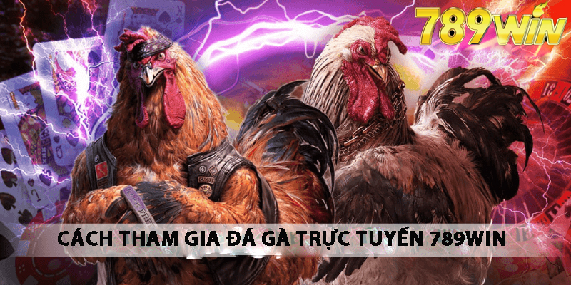 Cách tham gia đá gà trực tuyến 789win