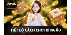 tiet-lo-cach-choi-xi-ngau-789win- cho-ngươi-choi