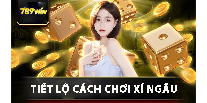 Tiết lộ cách chơi xí ngầu 789win cho người chơi