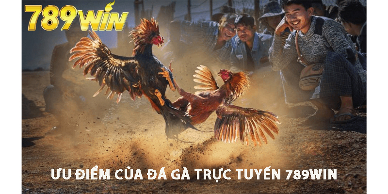 Ưu điểm của đá gà trực tuyến 789win