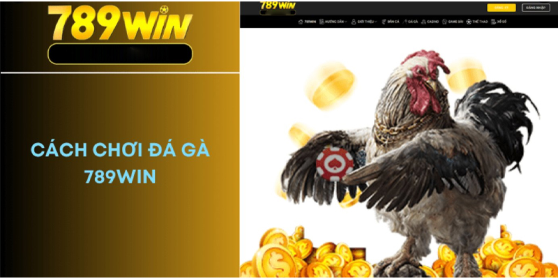 Cách Tham Gia Đá Gà Trực Tuyến Tại 789WIN